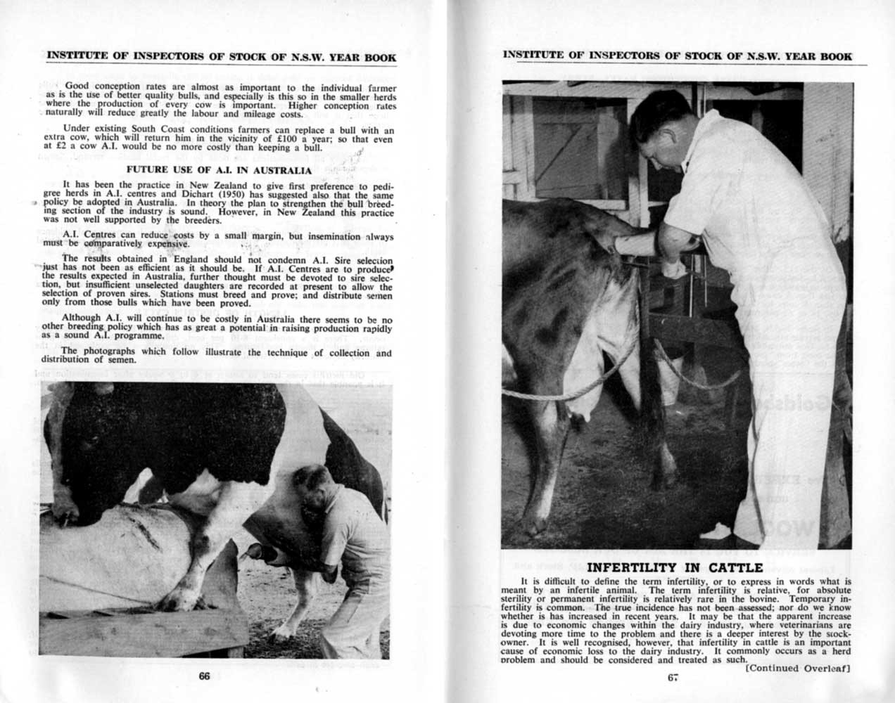 1954 Page 66 67